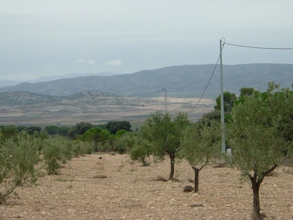 25,000 m² Land in Biar - Caza De Casa