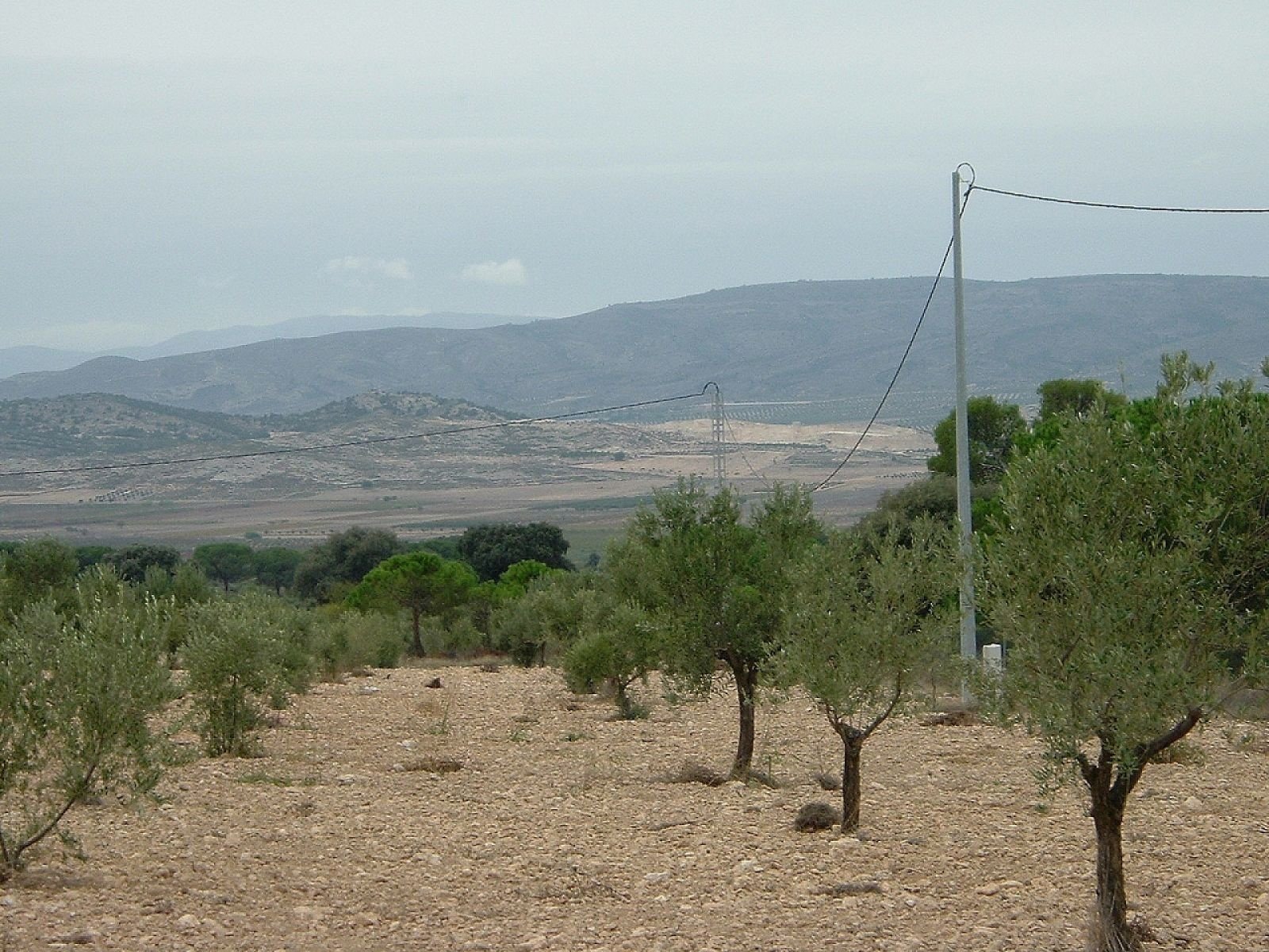 25,000 m² Land in Biar - Caza De Casa