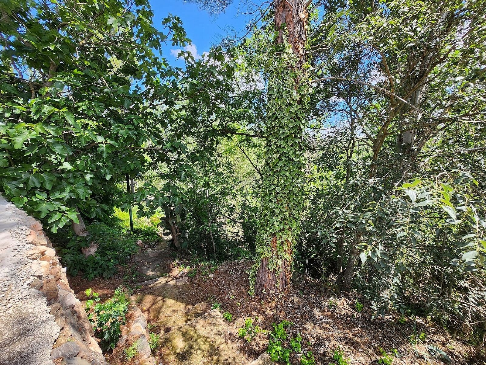 10 Bedroom 6 Bathroom Country house in Jalance - Caza De Casa
