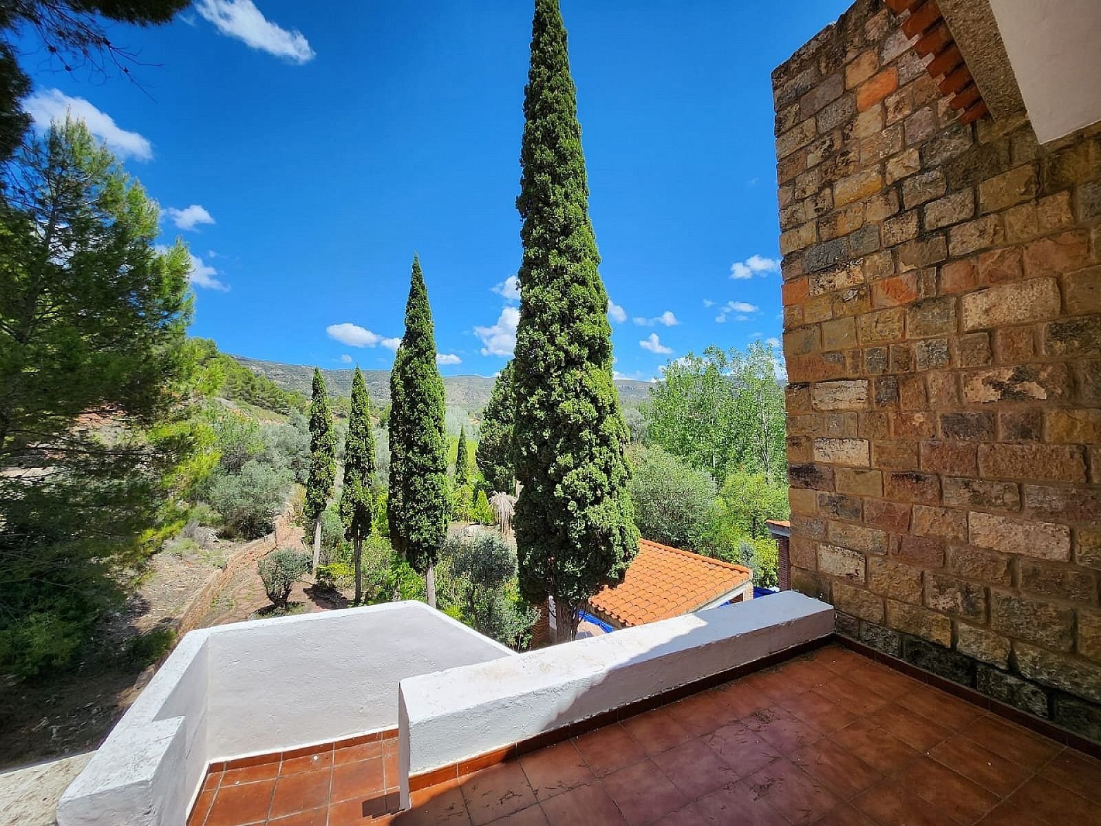 10 Bedroom 6 Bathroom Country house in Jalance - Caza De Casa