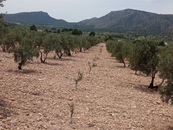10,663 m² Land in Salinas - Caza De Casa
