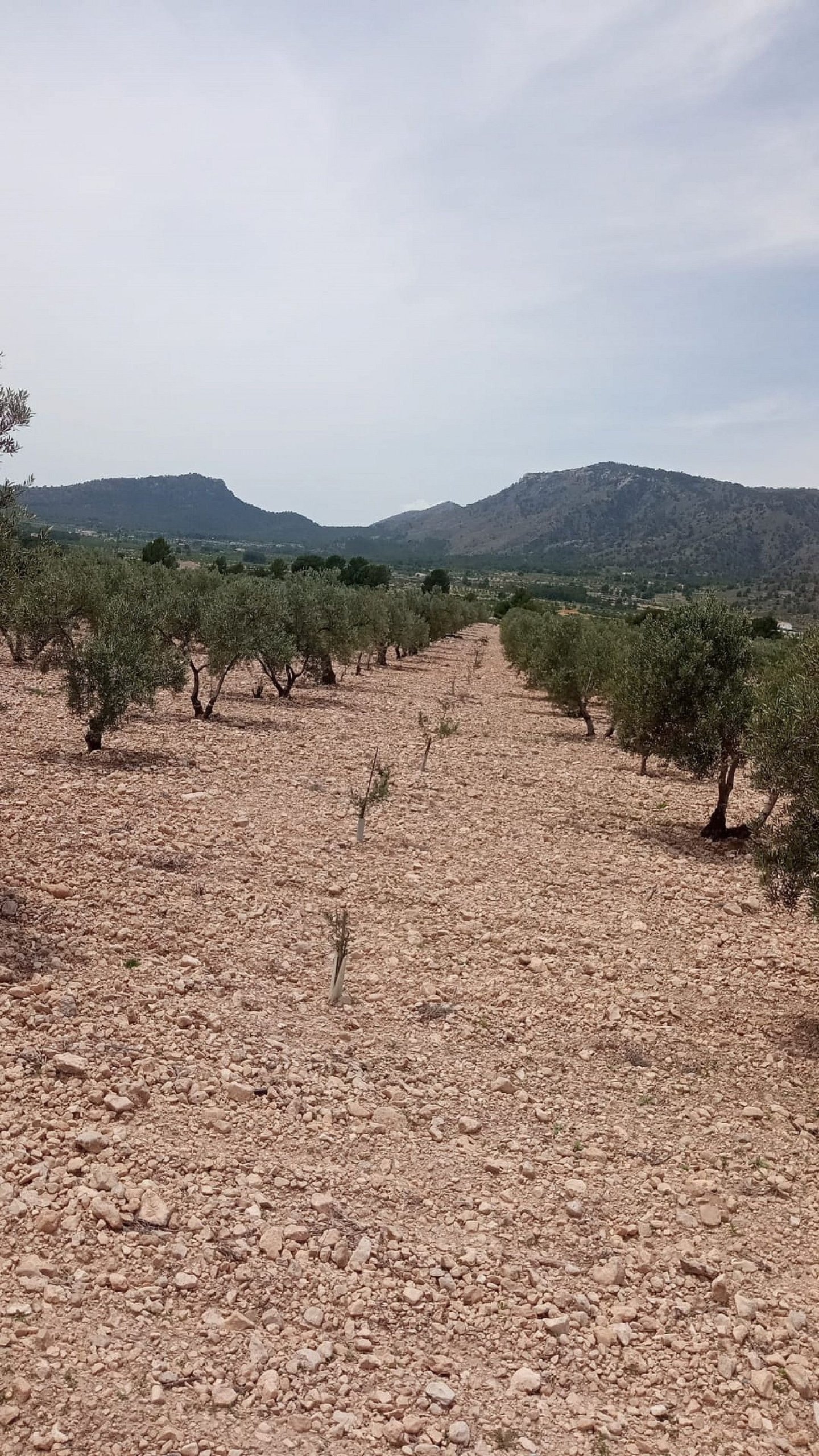 10,663 m² Land in Salinas - Caza De Casa
