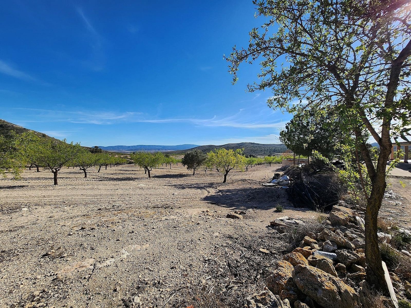 5 Bedroom 1 Bathroom Country house in Caudete - Caza De Casa