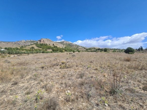 16,200 m² Land in Sax - Caza De Casa