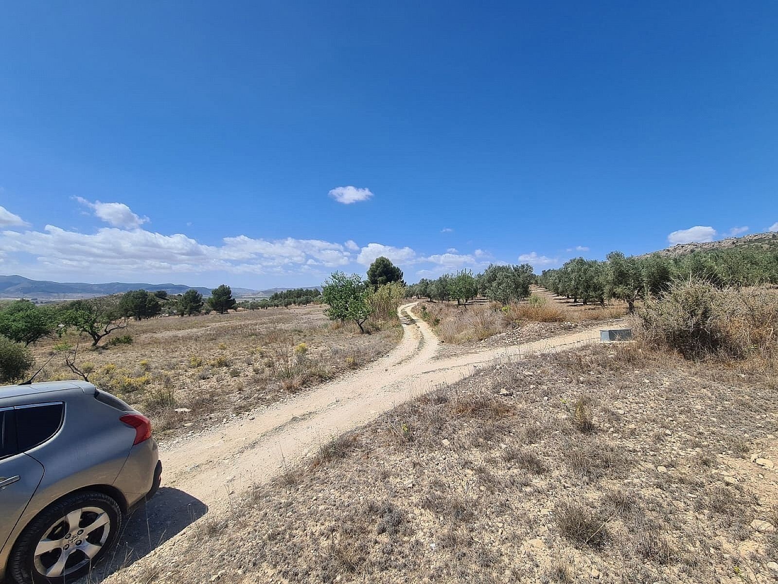 16,200 m² Land in Sax - Caza De Casa