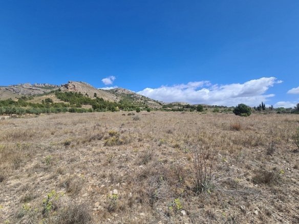 16,200 m² Land in Sax - Caza De Casa