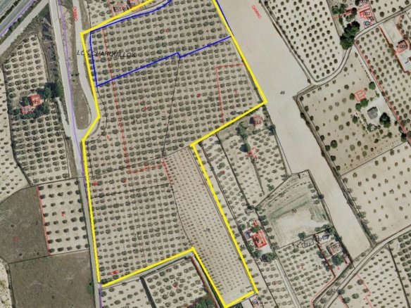 52,543 m² Land in Sax - Caza De Casa