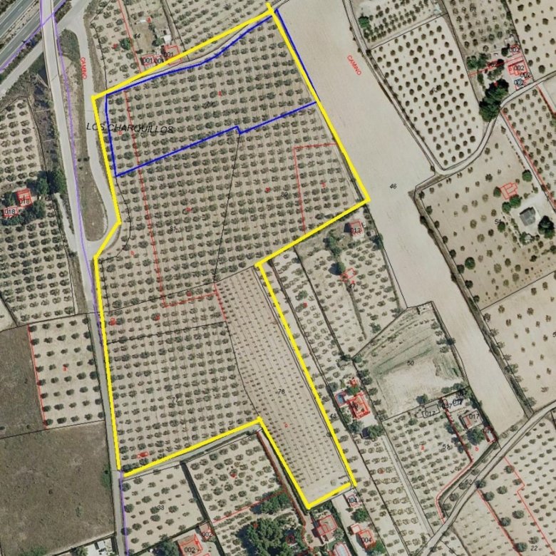 52,543 m² Land in Sax - Caza De Casa
