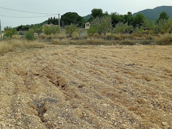 24,047 m² Land in Monovar - Caza De Casa