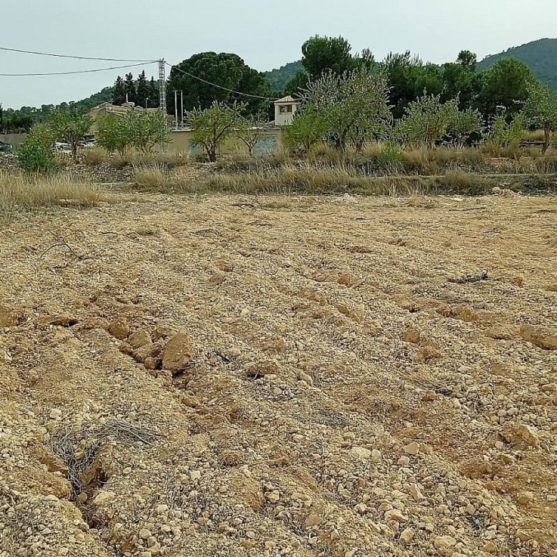 24,047 m² Land in Monovar - Caza De Casa