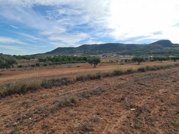 20,343 m² Land in Pinoso - Caza De Casa