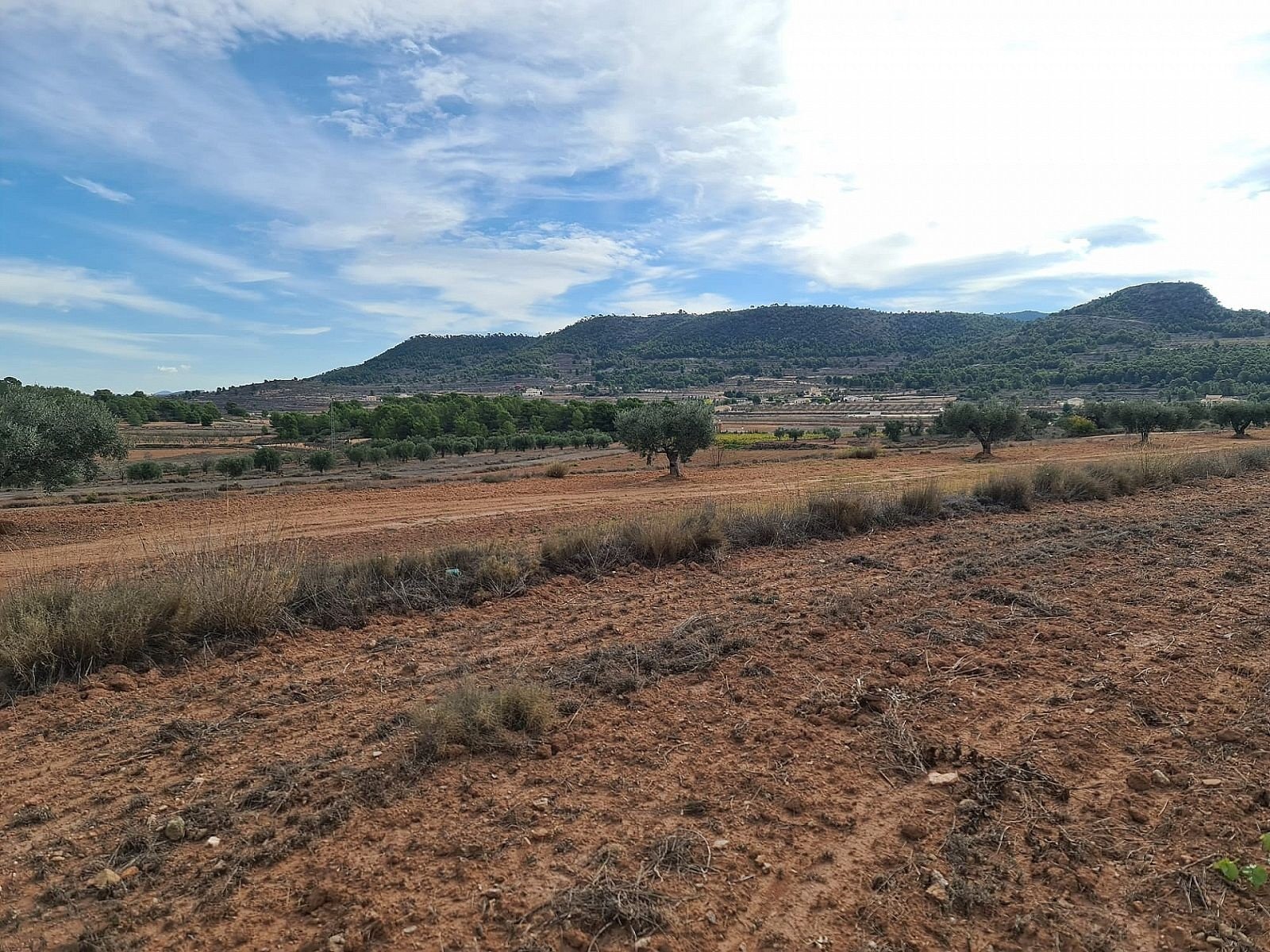 20,343 m² Land in Pinoso - Caza De Casa