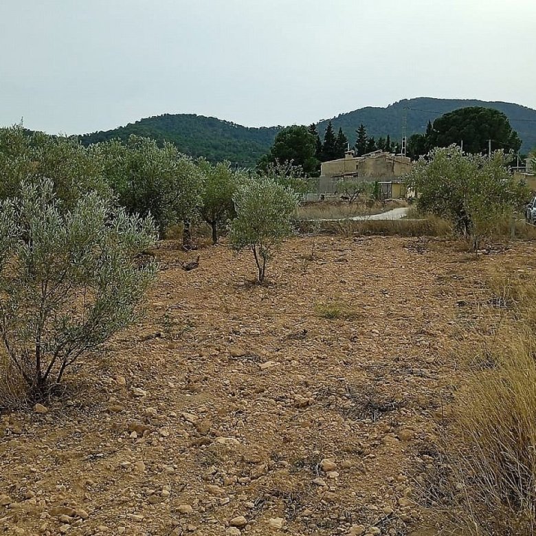 15,128 m² Land in Monovar - Caza De Casa