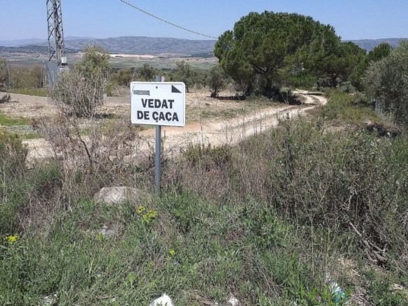 25,000 m² Land in Biar - Caza De Casa