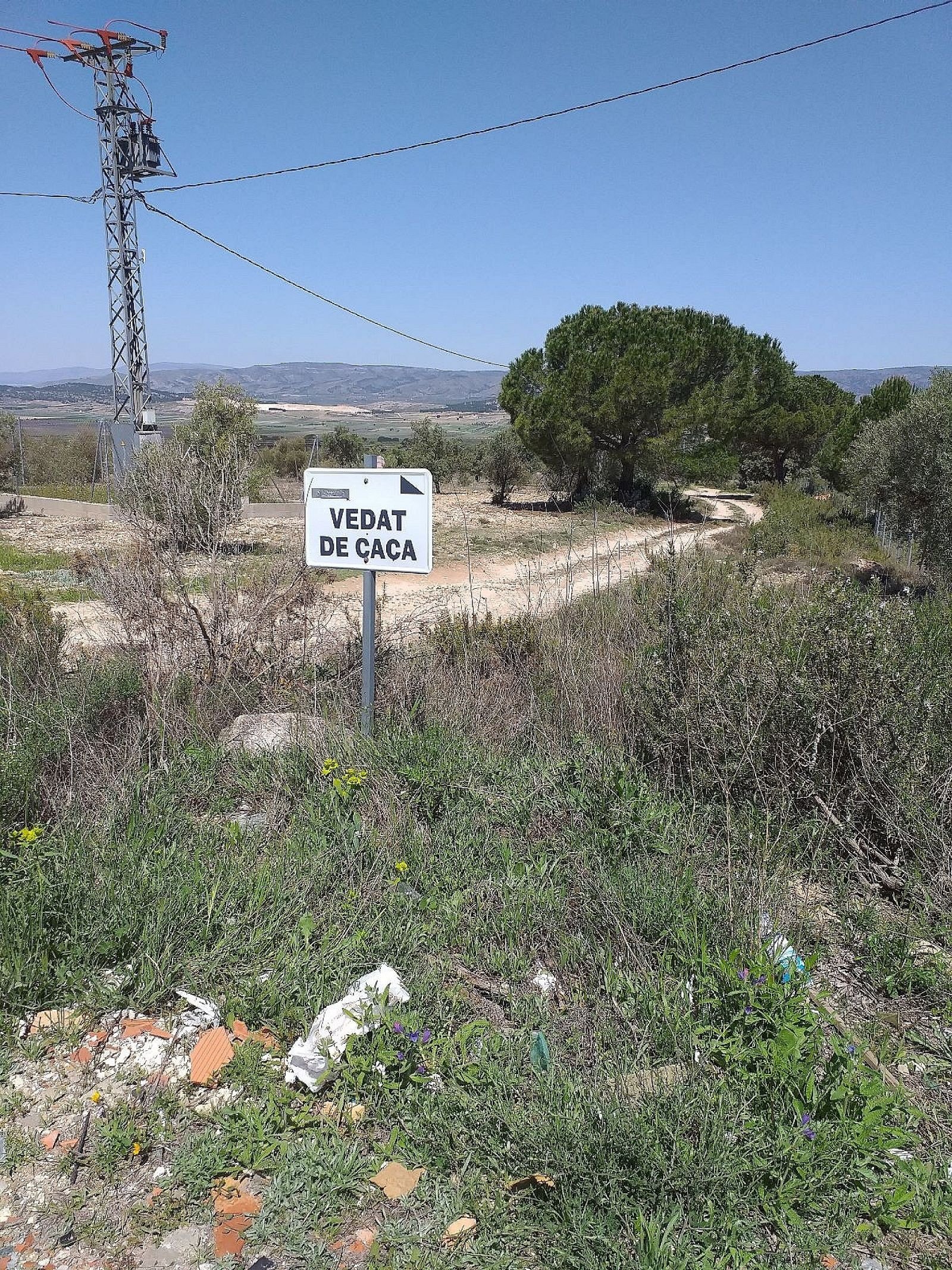 25,000 m² Land in Biar - Caza De Casa