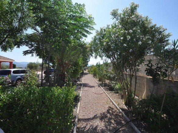 8 Bedroom 3 Bathroom Detached Villa in Sax - Caza De Casa
