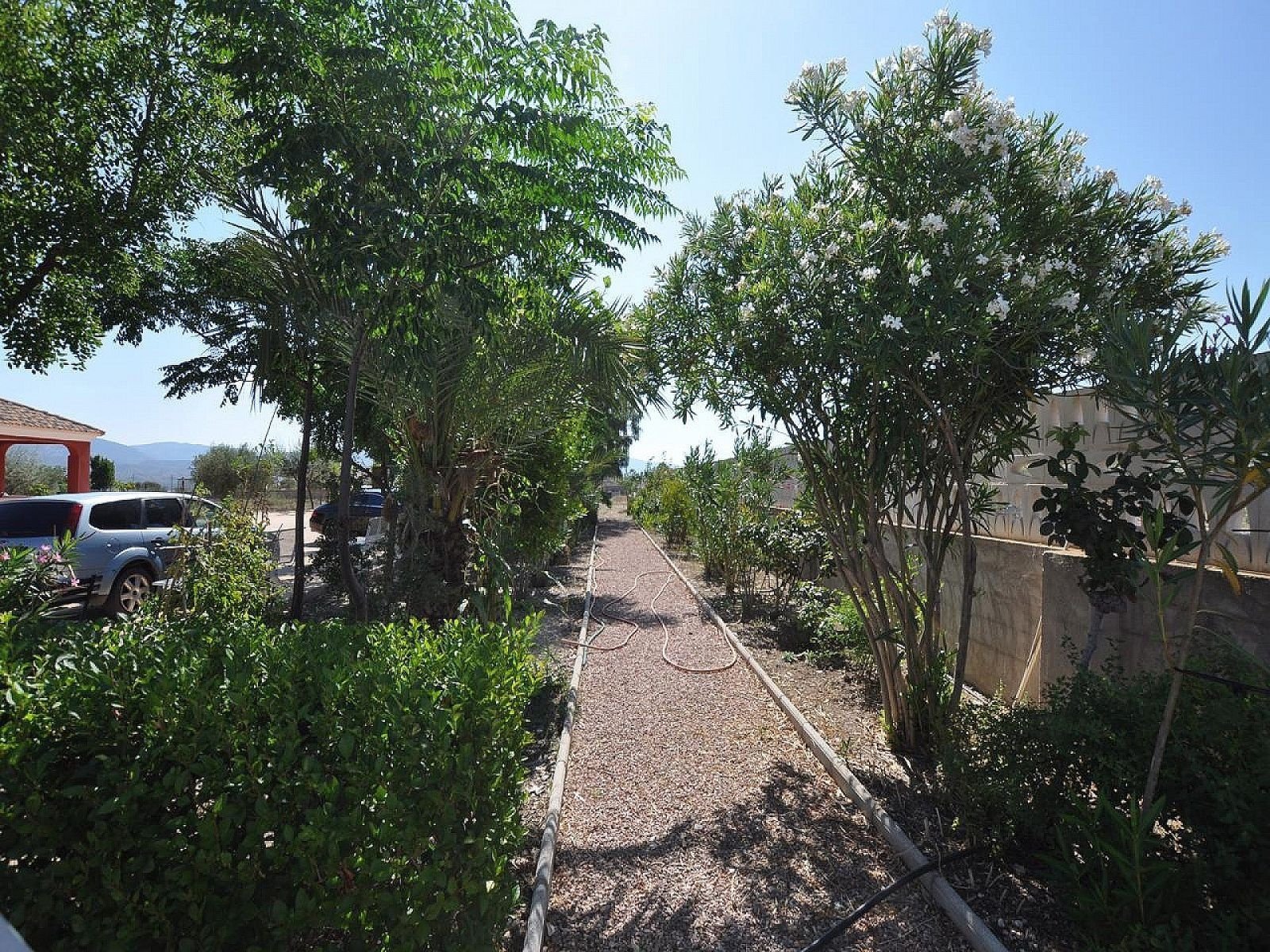 8 Bedroom 3 Bathroom Detached Villa in Sax - Caza De Casa