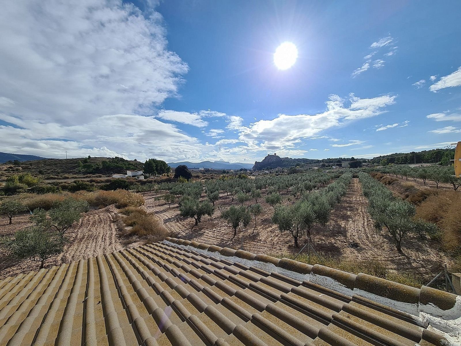 4 Bedroom 2 Bathroom Country house in Sax - Caza De Casa
