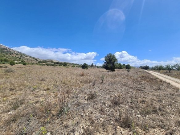 16,200 m² Land in Sax - Caza De Casa