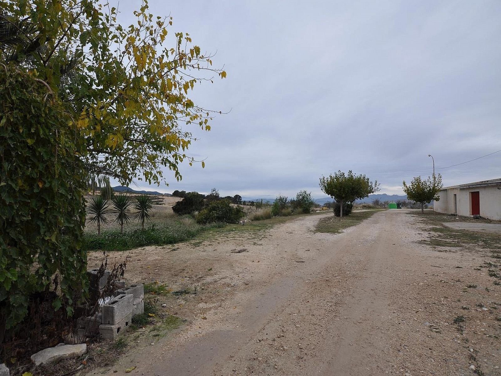 5 Bedroom Cave house in Jumilla - Caza De Casa