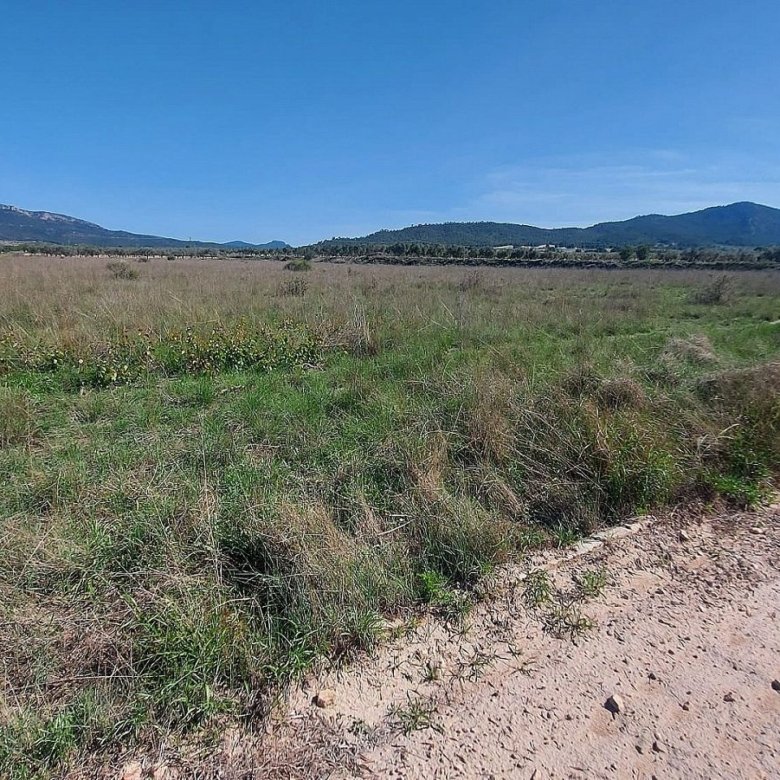 14,720 m² Land in Salinas - Caza De Casa