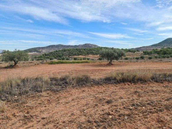 20,343 m² Land in Pinoso - Caza De Casa