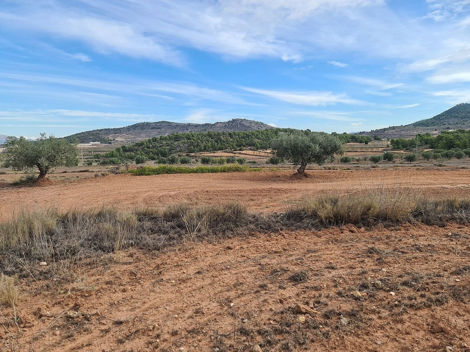 20,343 m² Land in Pinoso - Caza De Casa