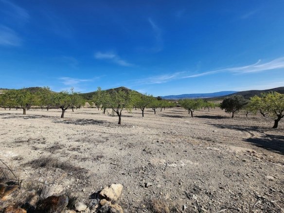 5 Bedroom 1 Bathroom Country house in Caudete - Caza De Casa