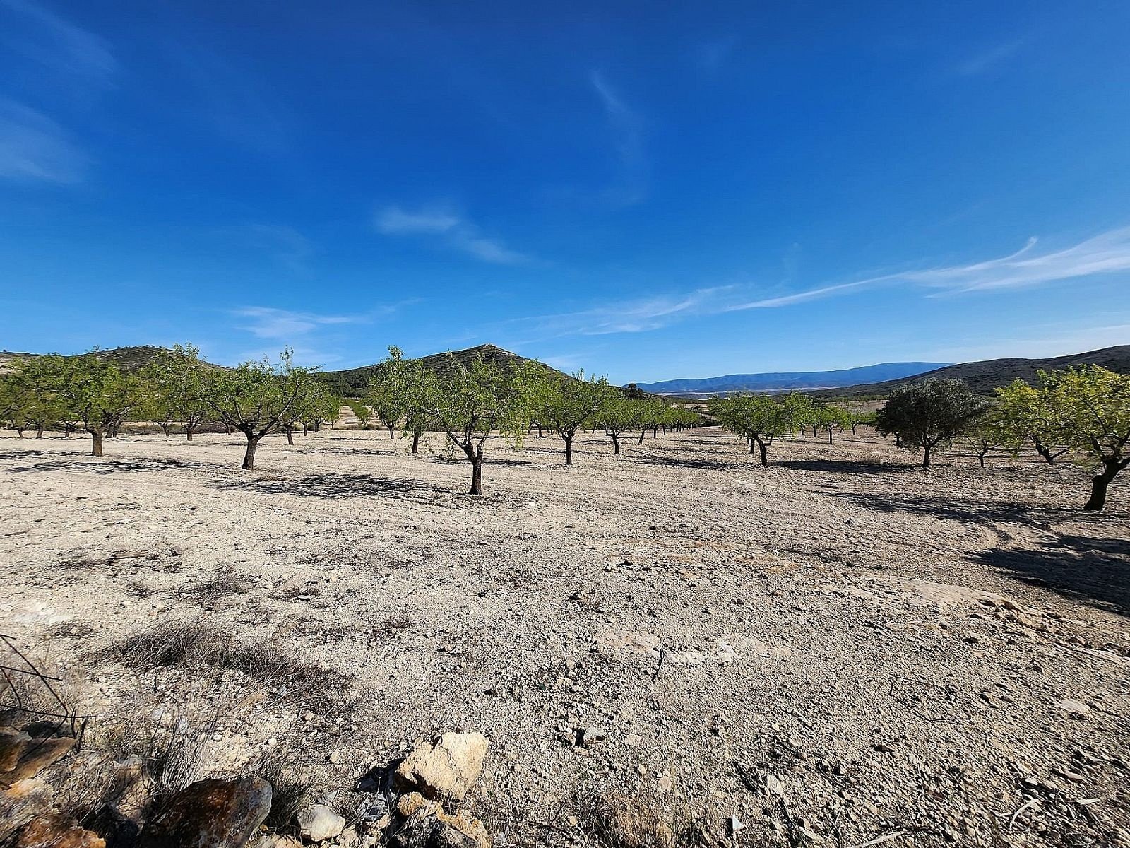 5 Bedroom 1 Bathroom Country house in Caudete - Caza De Casa