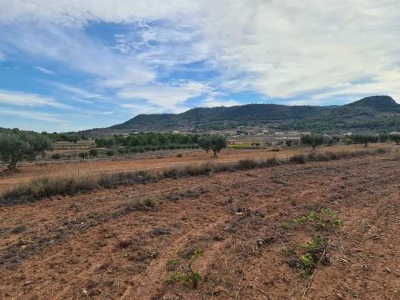 20,343 m² Land in Pinoso - Caza De Casa
