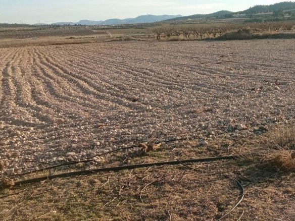 49,658 m² Land in Salinas - Caza De Casa