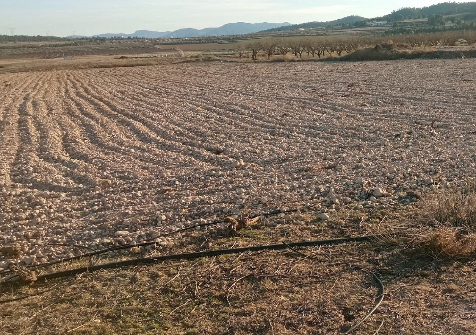49,658 m² Land in Salinas - Caza De Casa