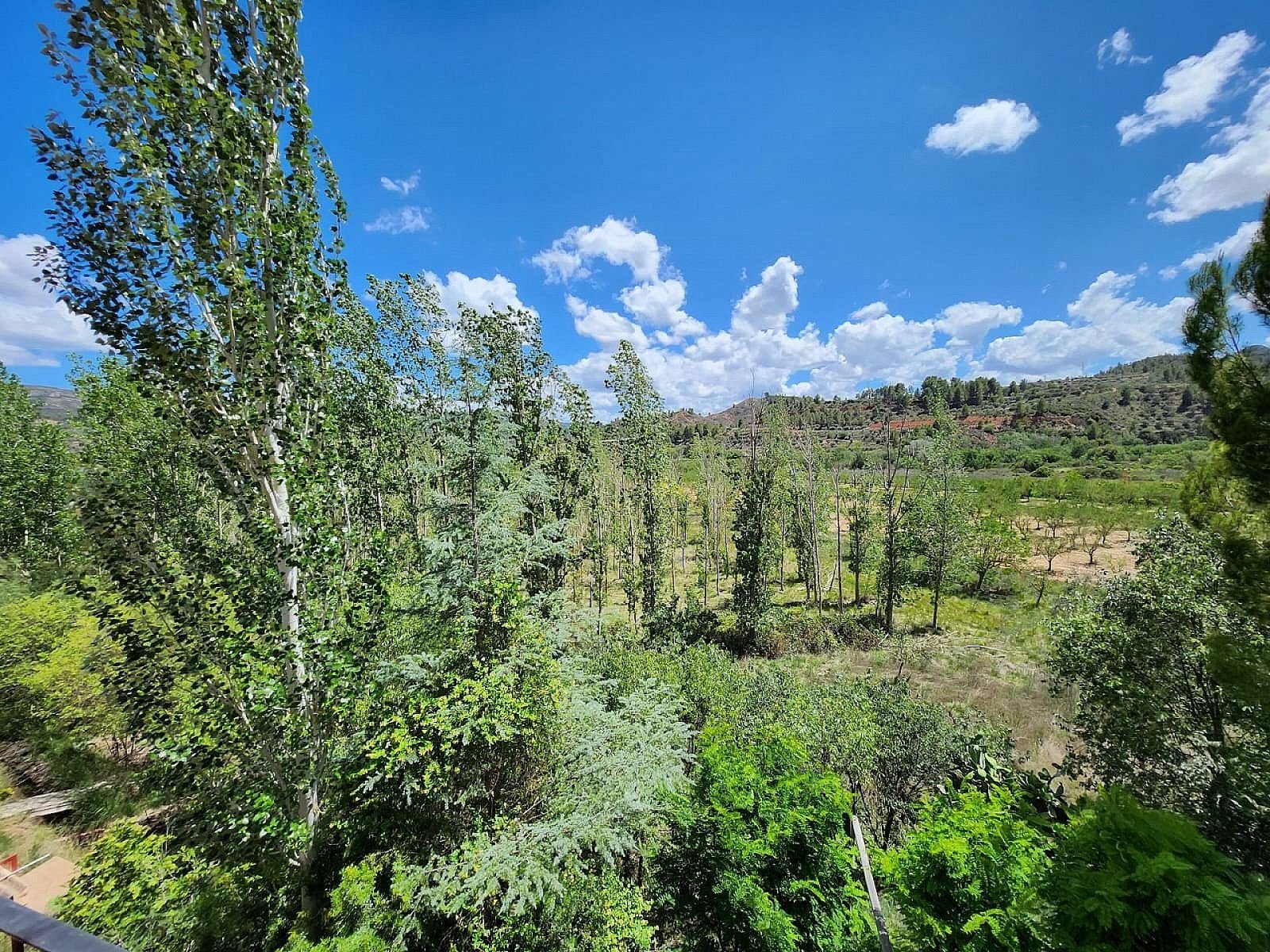10 Bedroom 6 Bathroom Country house in Jalance - Caza De Casa