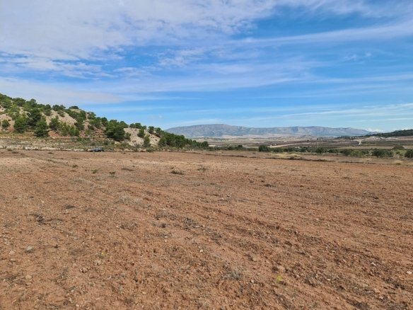 20,343 m² Land in Pinoso - Caza De Casa