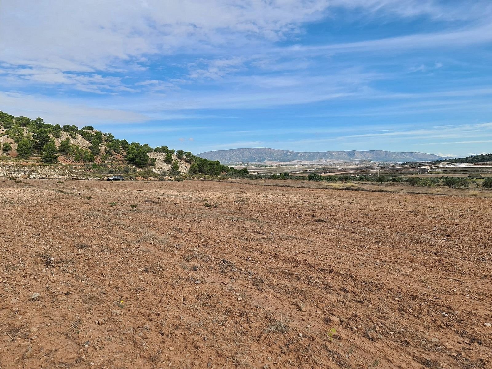 20,343 m² Land in Pinoso - Caza De Casa