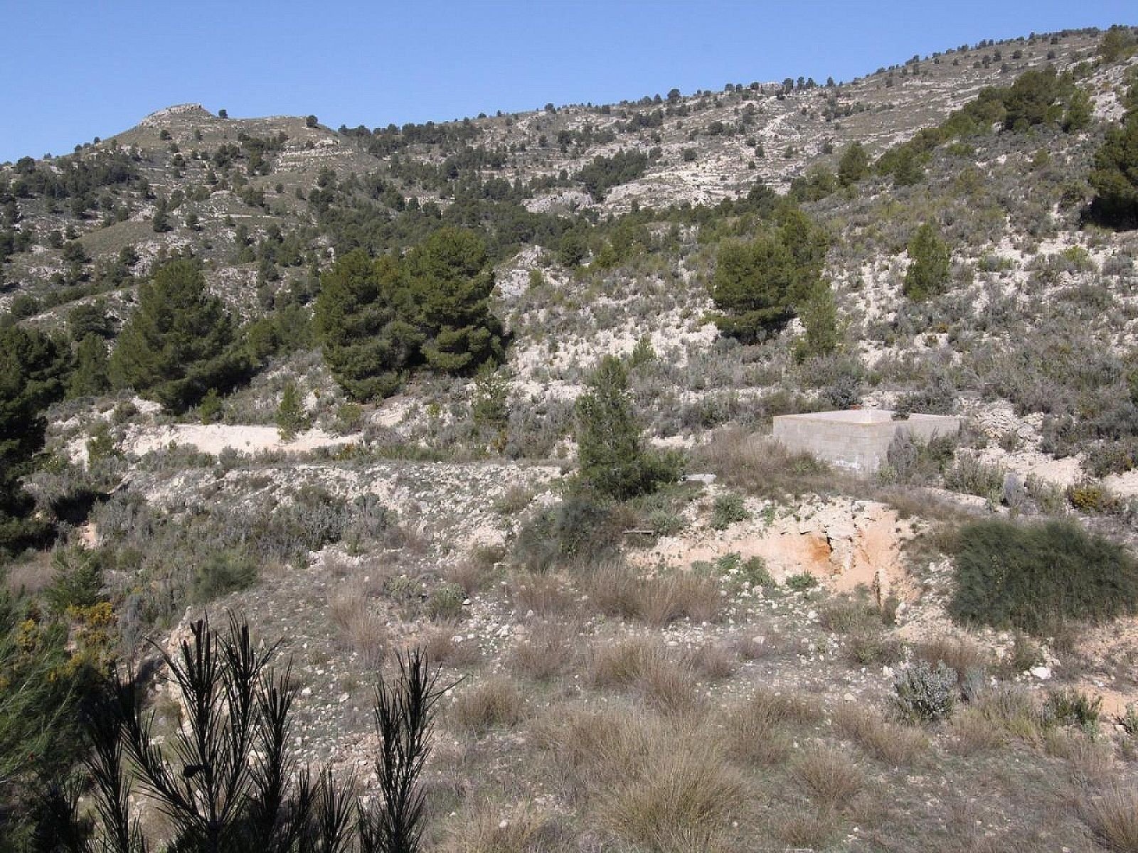 3 Bedroom 2 Bathroom Detached Villa in Petrer - Caza De Casa
