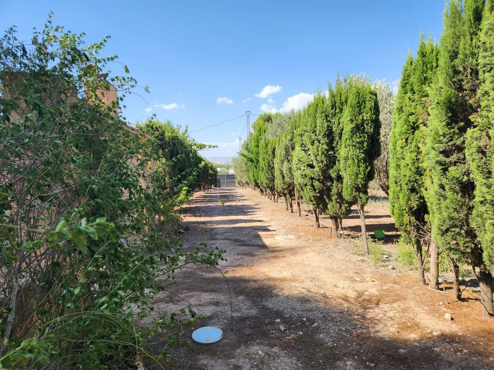 4 Bedroom 2 Bathroom Detached Villa in Villena - Caza De Casa