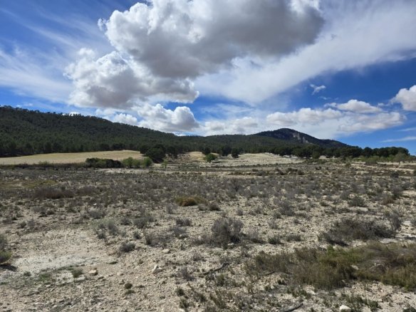52,000 m² Land in Salinas - Caza De Casa