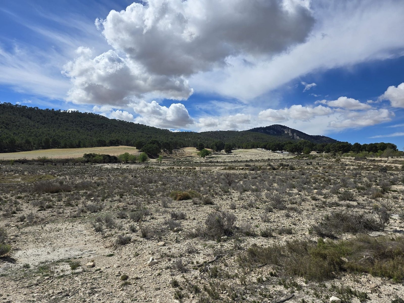 52,000 m² Land in Salinas - Caza De Casa