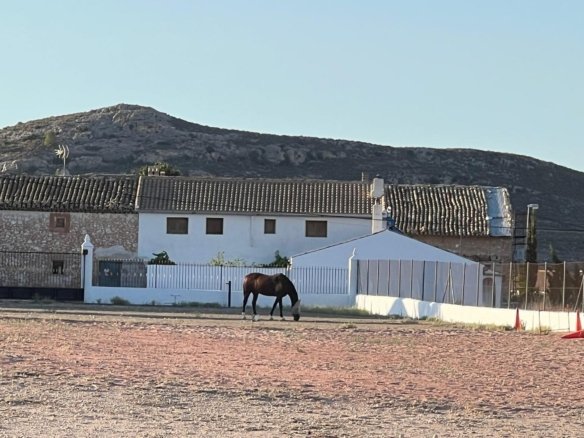 3 Bedroom 2 Bathroom Detached Villa in Torre del Rico - Caza De Casa