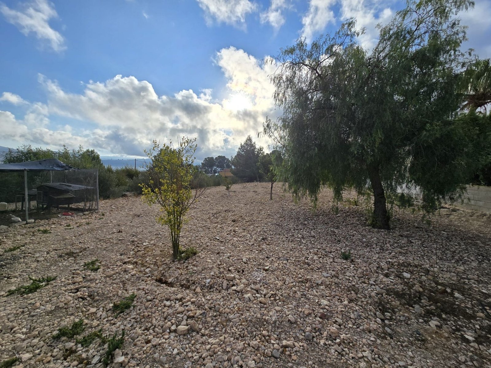 5 Bedroom 3 Bathroom Detached Villa in Sax - Caza De Casa