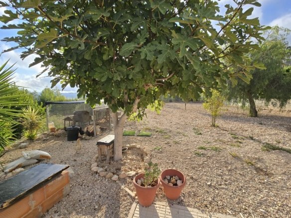5 Bedroom 3 Bathroom Detached Villa in Sax - Caza De Casa