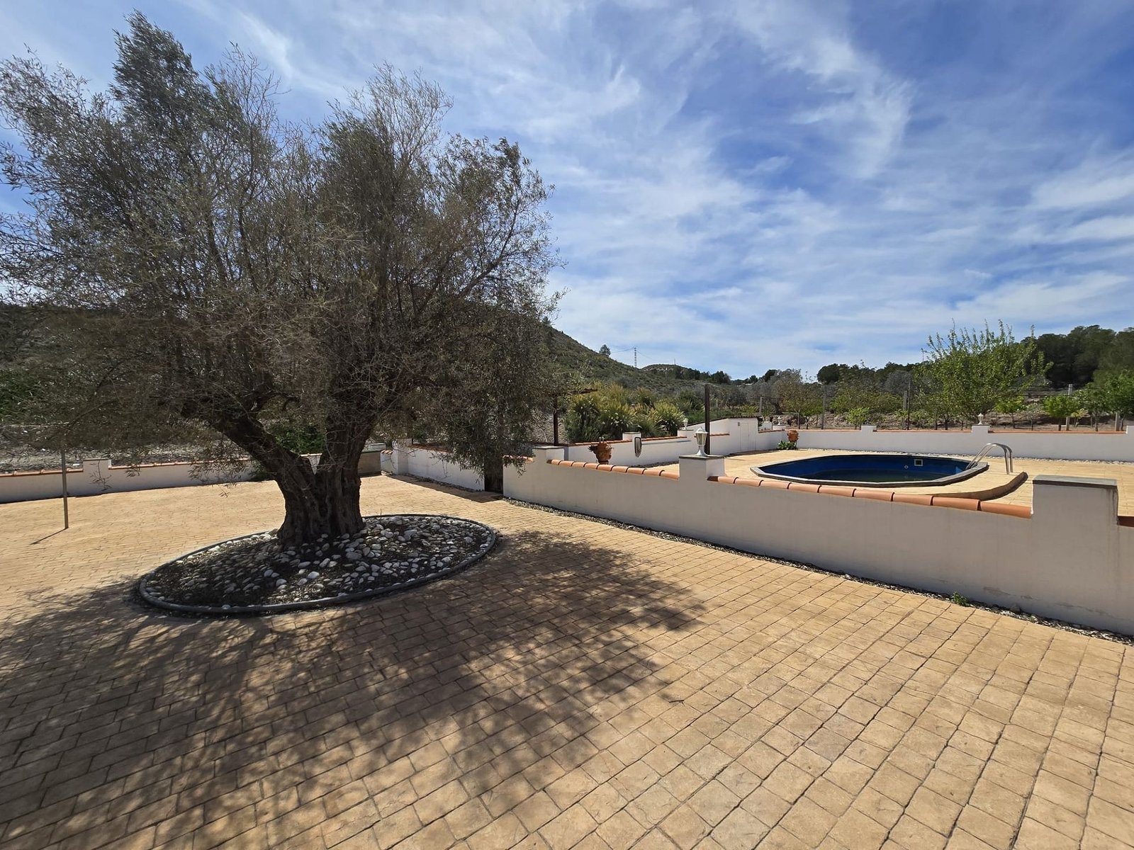4 Bedroom 3 Bathroom Detached Villa in Sax - Caza De Casa