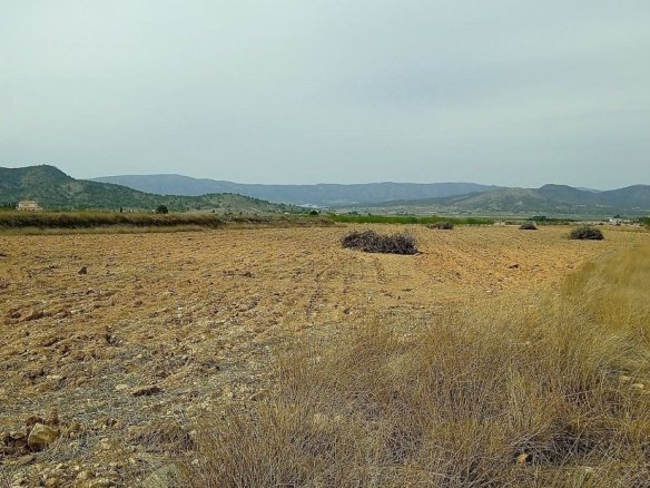 24,047 m² Land in Monovar - Caza De Casa