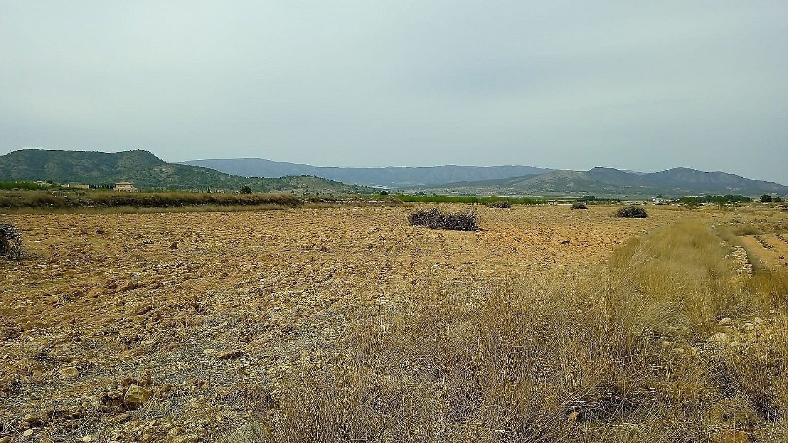 24,047 m² Land in Monovar - Caza De Casa