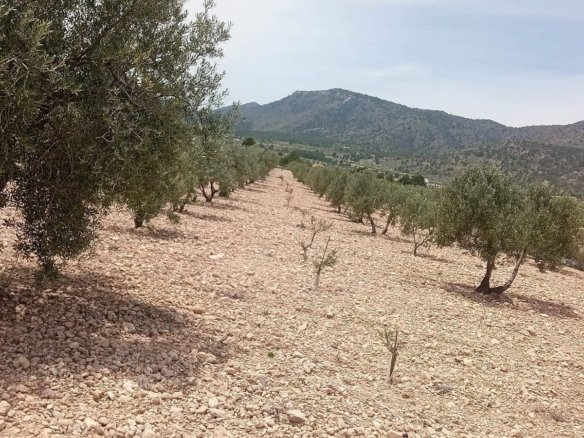10,663 m² Land in Salinas - Caza De Casa