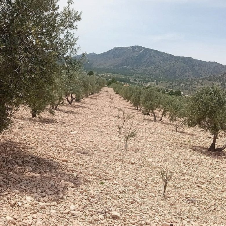 10,663 m² Land in Salinas - Caza De Casa