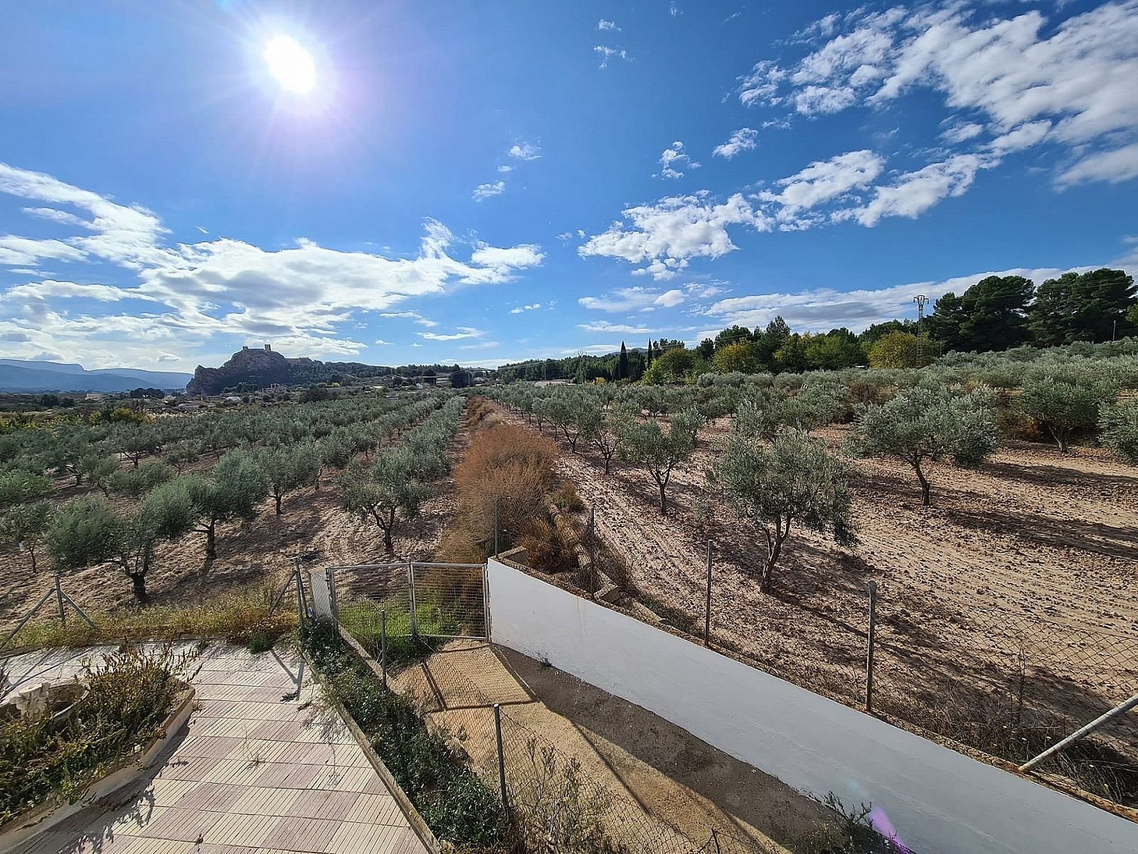 4 Bedroom 2 Bathroom Country house in Sax - Caza De Casa