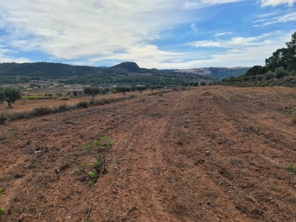 20,343 m² Land in Pinoso - Caza De Casa