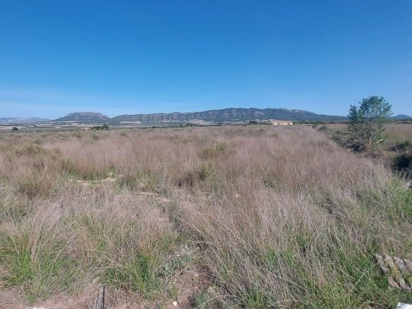 14,720 m² Land in Salinas - Caza De Casa